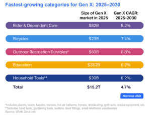 Prognostizierte, weltweit am stärksten wachsende Ausgabenkategorien der Generation X (2025–2030), basierend auf Marktvolumen 2025 und jährlicher Wachstumsrate (CAGR). (Quelle: NielsenIQ / World Data Lab)
