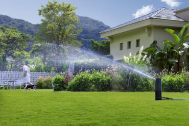 IrriSense in yard-4