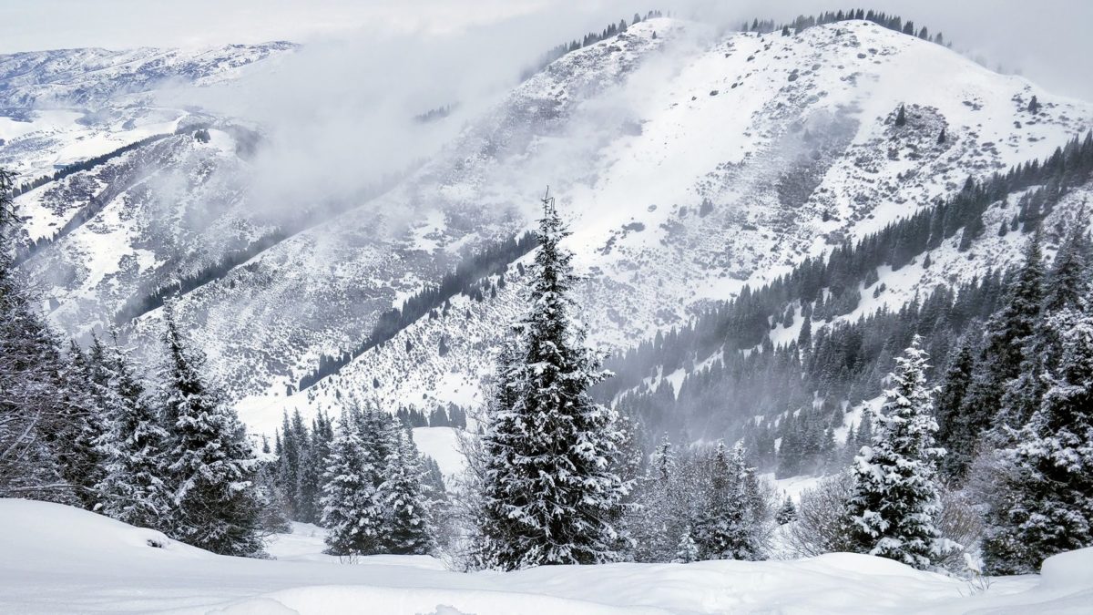 Winterlandschaft aufgenommen mit einem OnePlus Smartphone